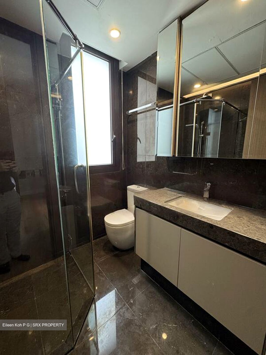 Ardmore Park (D10), Condominium #482282031